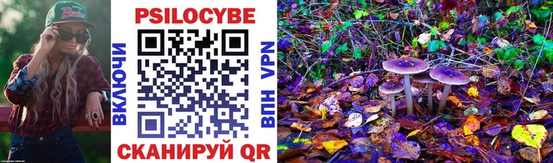 Купить  Константиновск  Галлюциногенные грибы GOLDEN TEACHER 
